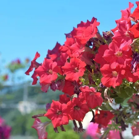 Apartment Sunview Perama (Corfu)